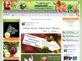 Plante carnivore culture